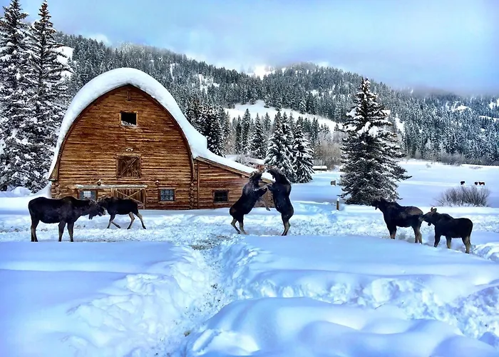 Trail Creek Ranch Privatunterkunft Wilson